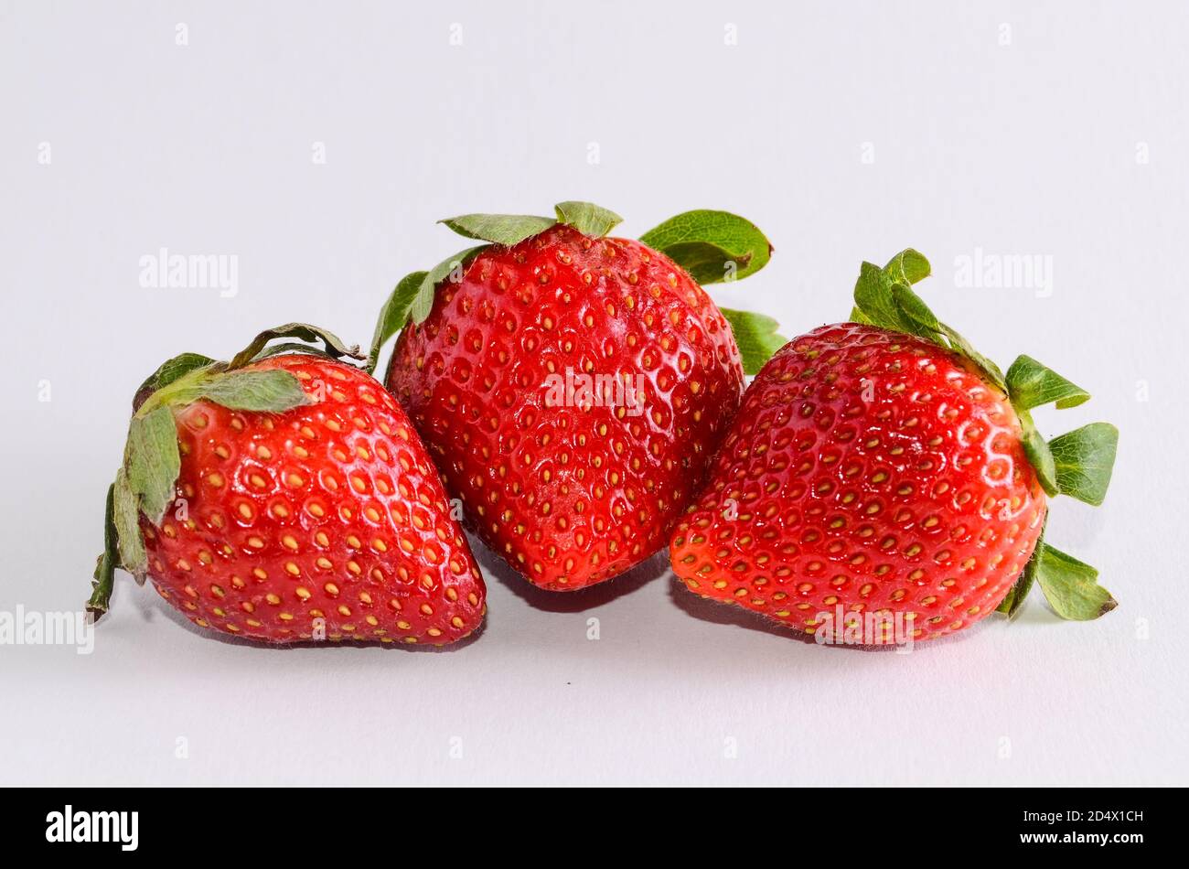 Fresh Ripe Strawberry Stock Photo - Alamy