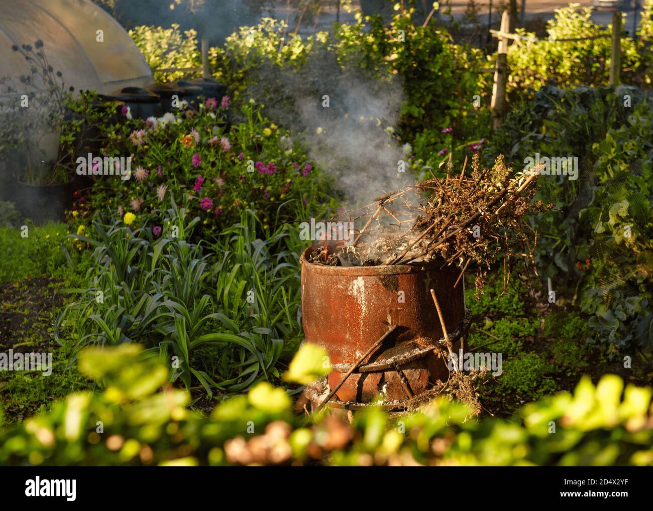 Burning leaves, fire while cleaning the garden in early Autumn, Amersham, England Stock Photo