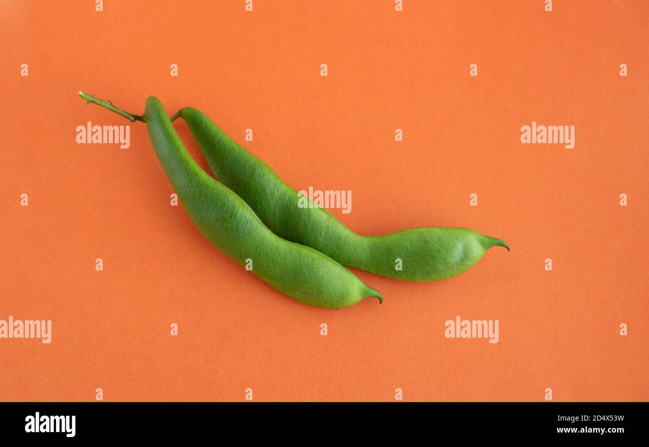 Soybean seeds pod hires stock photography and images Alamy