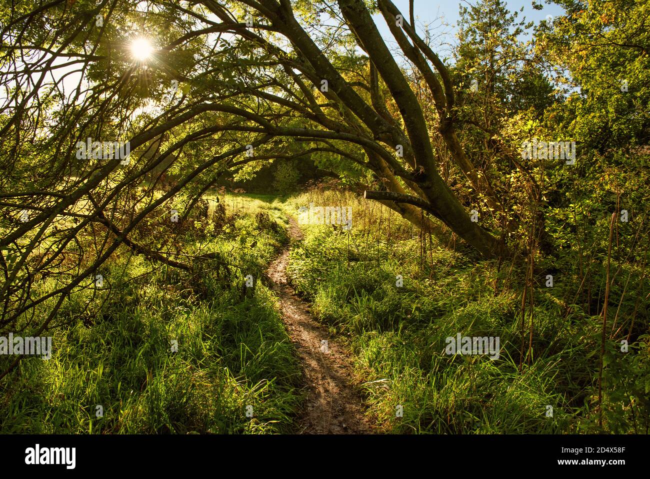 Walking path among nature of Amersham, Chiltern Hills, England Stock Photo