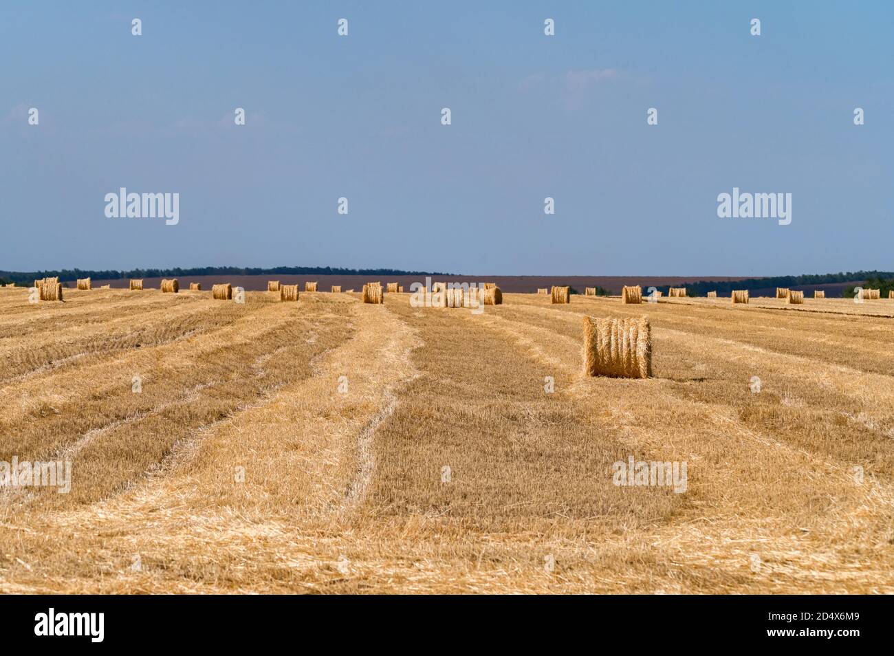 Straw bales on farmland with blue cloudless sky Stock Photo - Alamy