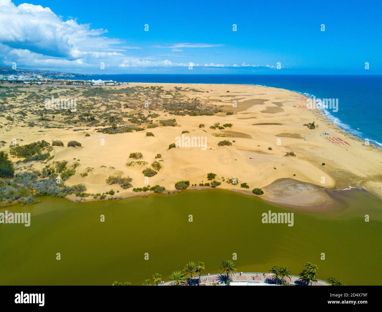 Aerial View Of Blissful Maspalomas Dunes In Gran Canaria Canary aerial-view-of-blissful-maspalomas-dunes-in-gran-canaria-canary
