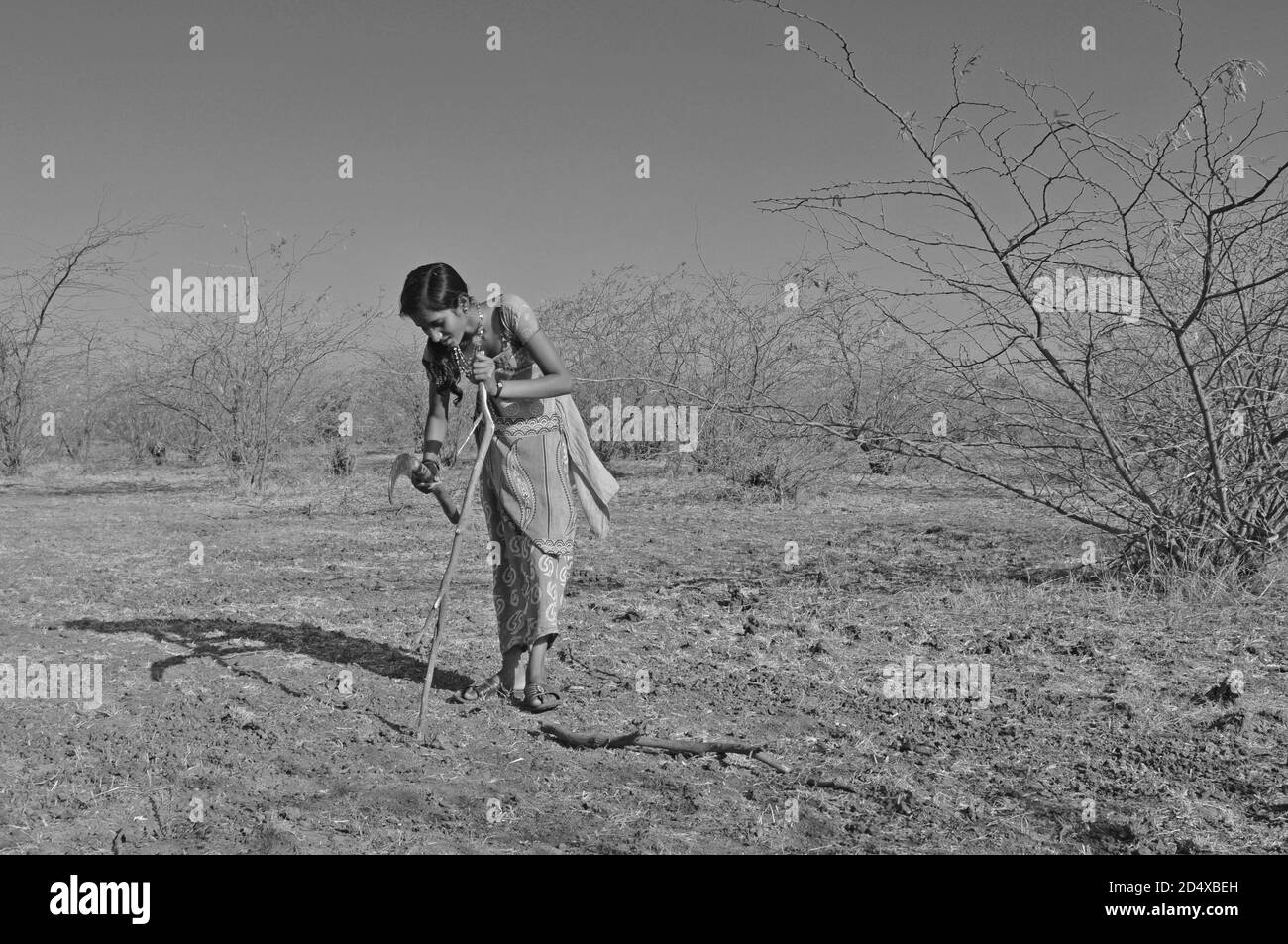 Young indian girls chopping down wood at the national park Little Rann of Kutch in the Gujarat salt-desert Stock Photo