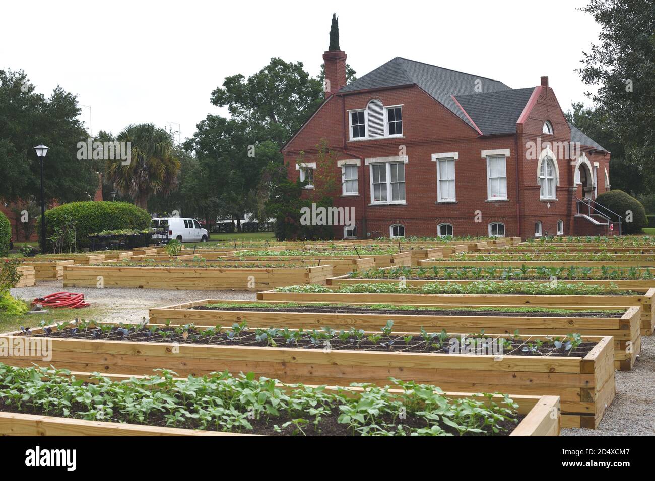 Urban Gardens as a 19th Century English Village with Soil Plots Set Against English Street Names and Red Brick Architecture with New Plants Growing. Stock Photo