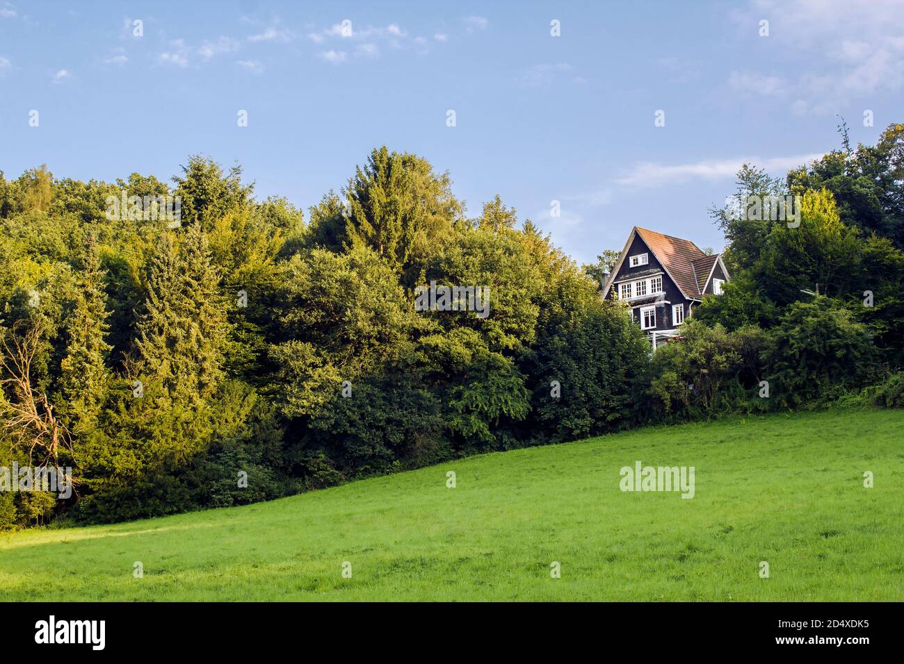 Rustical rural home on the forest hill in the summer Stock Photo