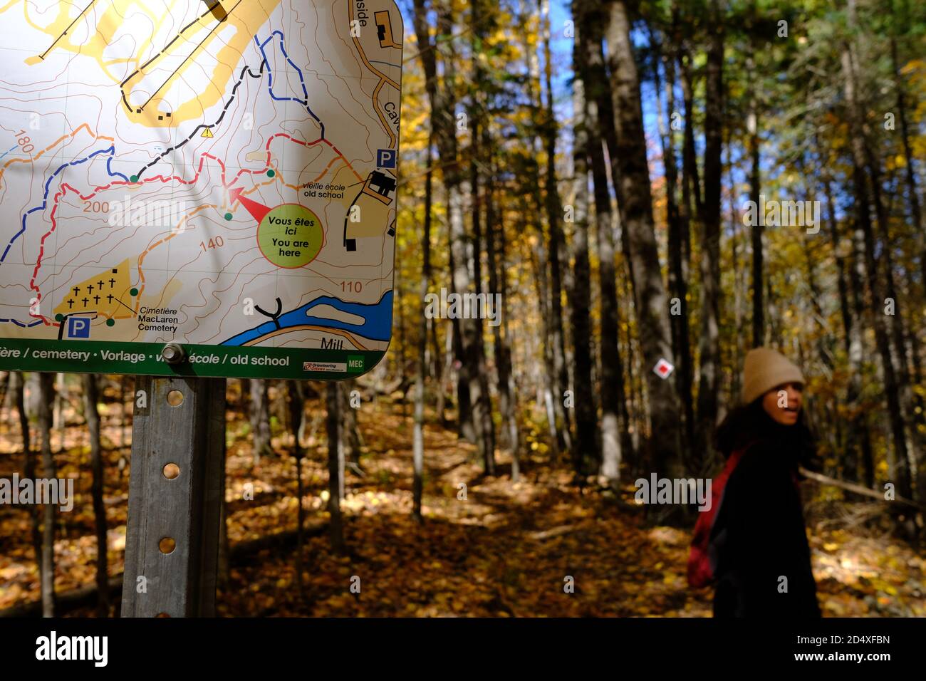 Hiking trail map and golden forest on a sunny Thanksgiving hike just outside of Wakefield