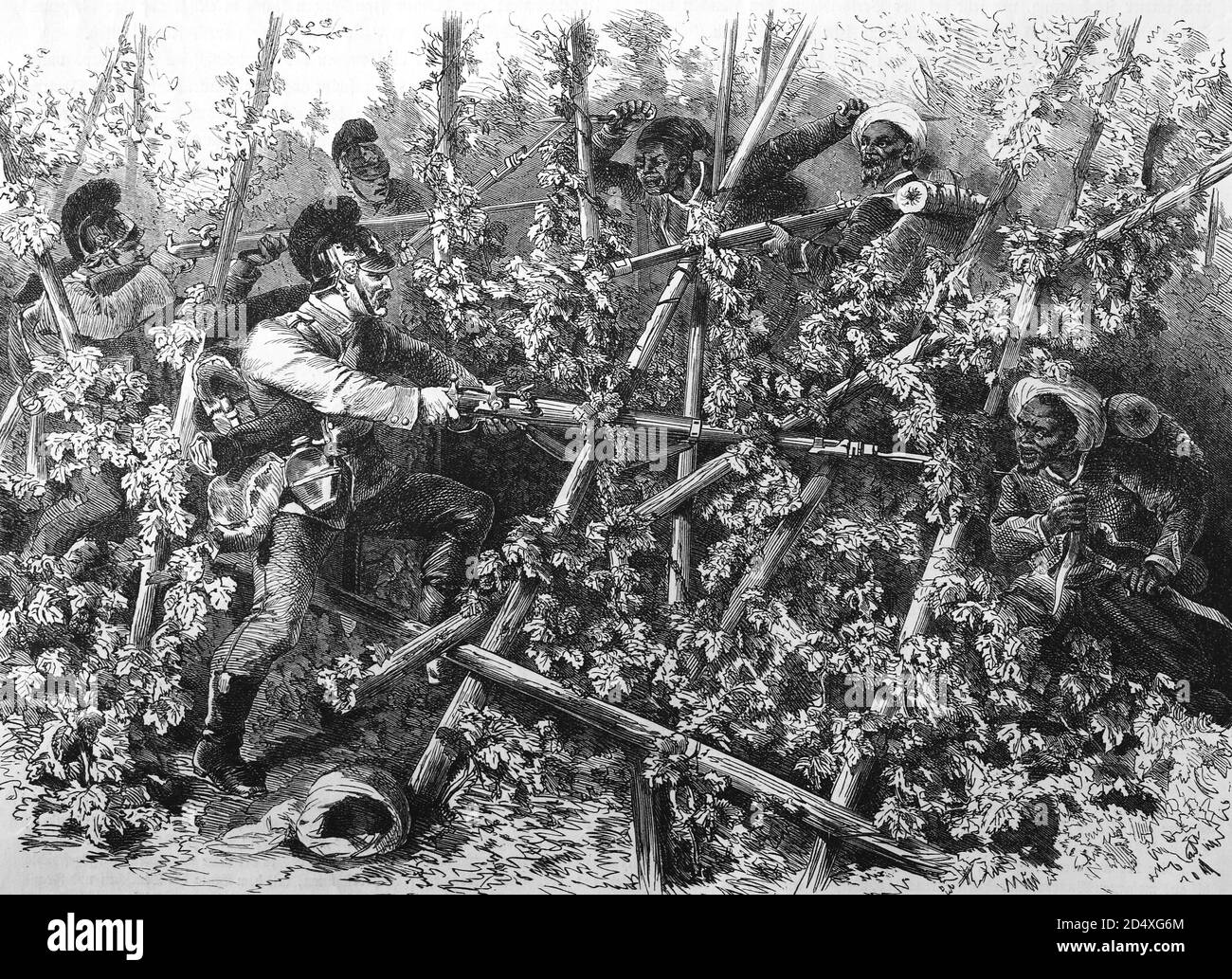 Bavarian infantry battling Turcos and Znaben in the hop fields near Weissenburg, illustrated war history, German - French war 1870-1871 Stock Photo