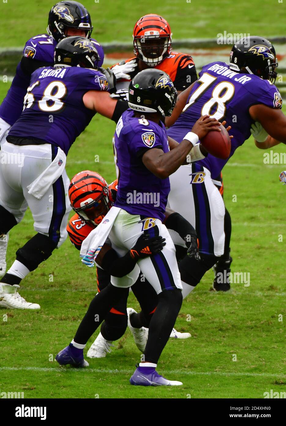 Bengals ravens hi-res stock photography and images - Alamy