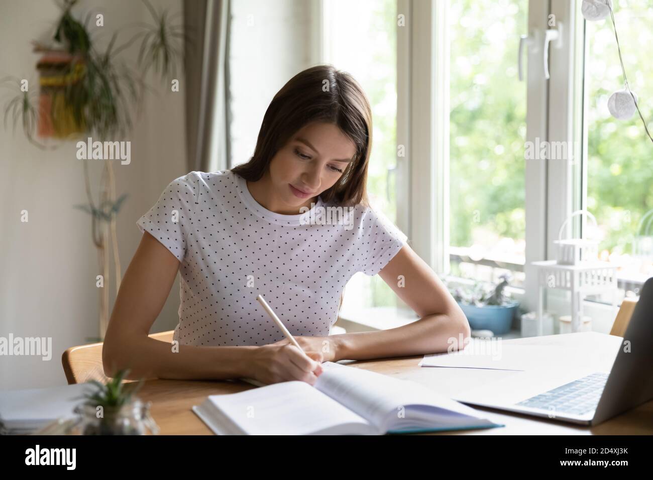 Focused young pretty female student studying at home. Stock Photo