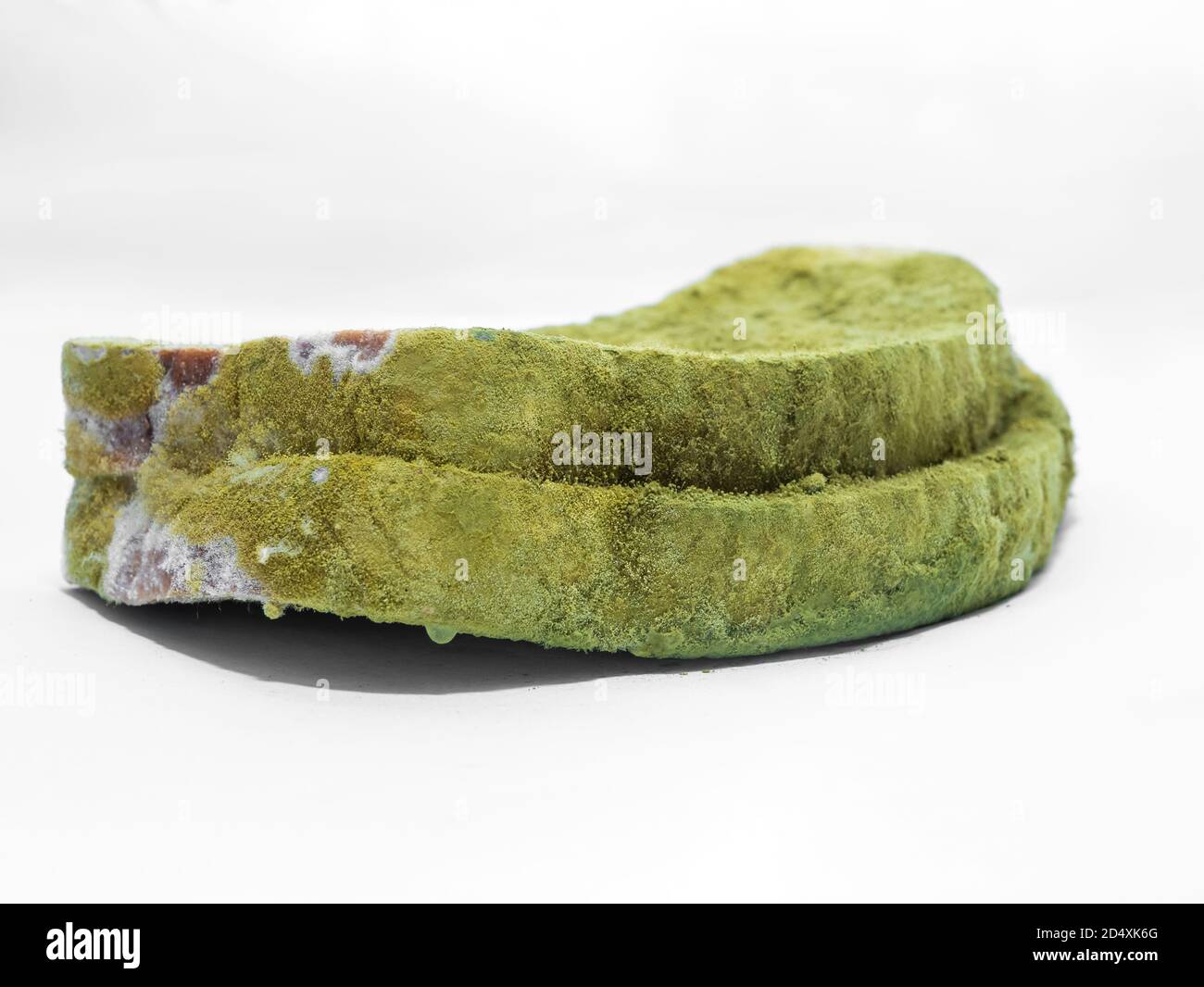 A piece of bread covered with green mold on a white background isolate. Stock Photo