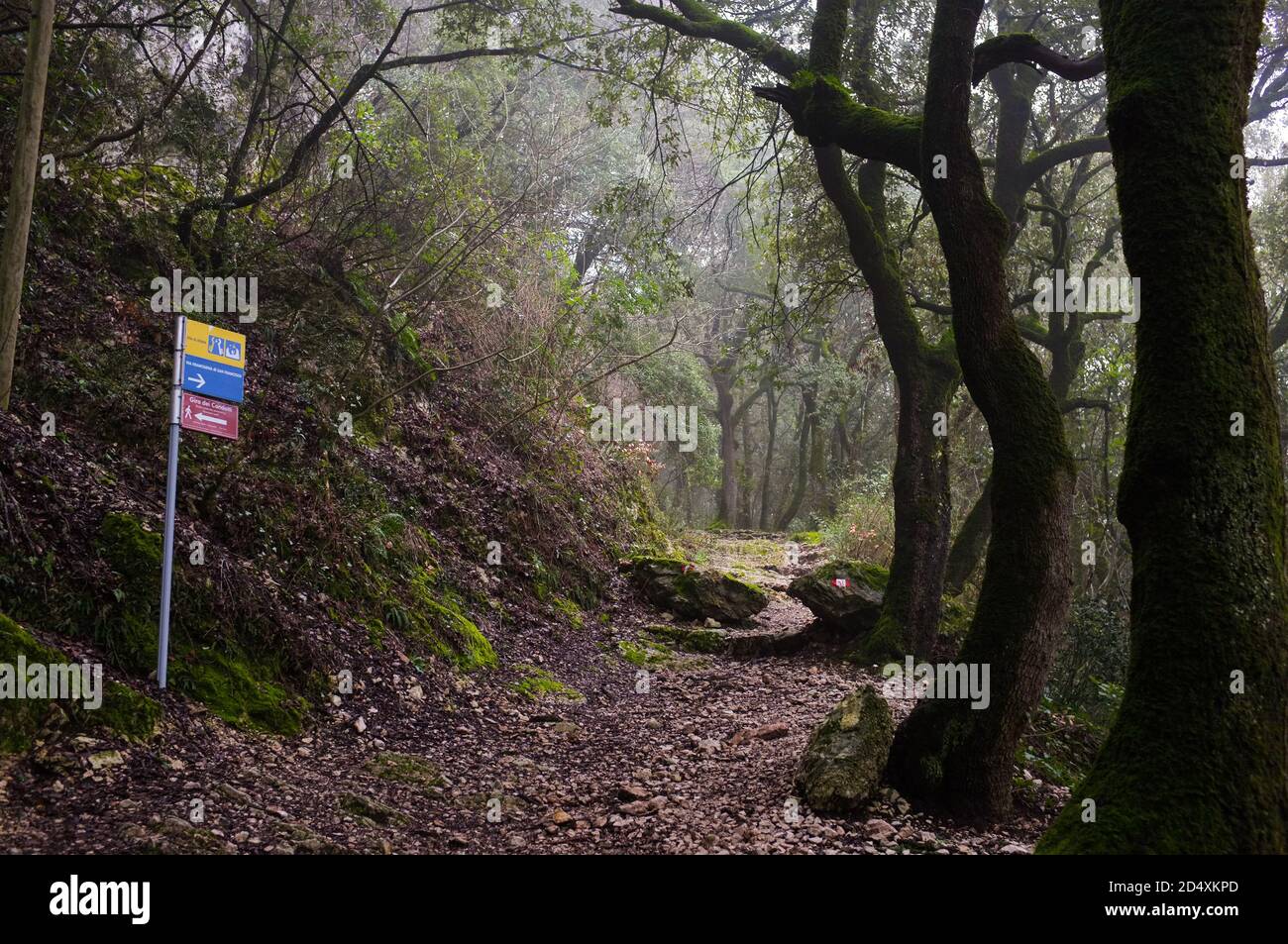 Mystic path that connects Spoleto to the Franciscan Convent of Monteluco. Part of the Francigena--ancient pilgrim's route from France to Rome Stock Photo