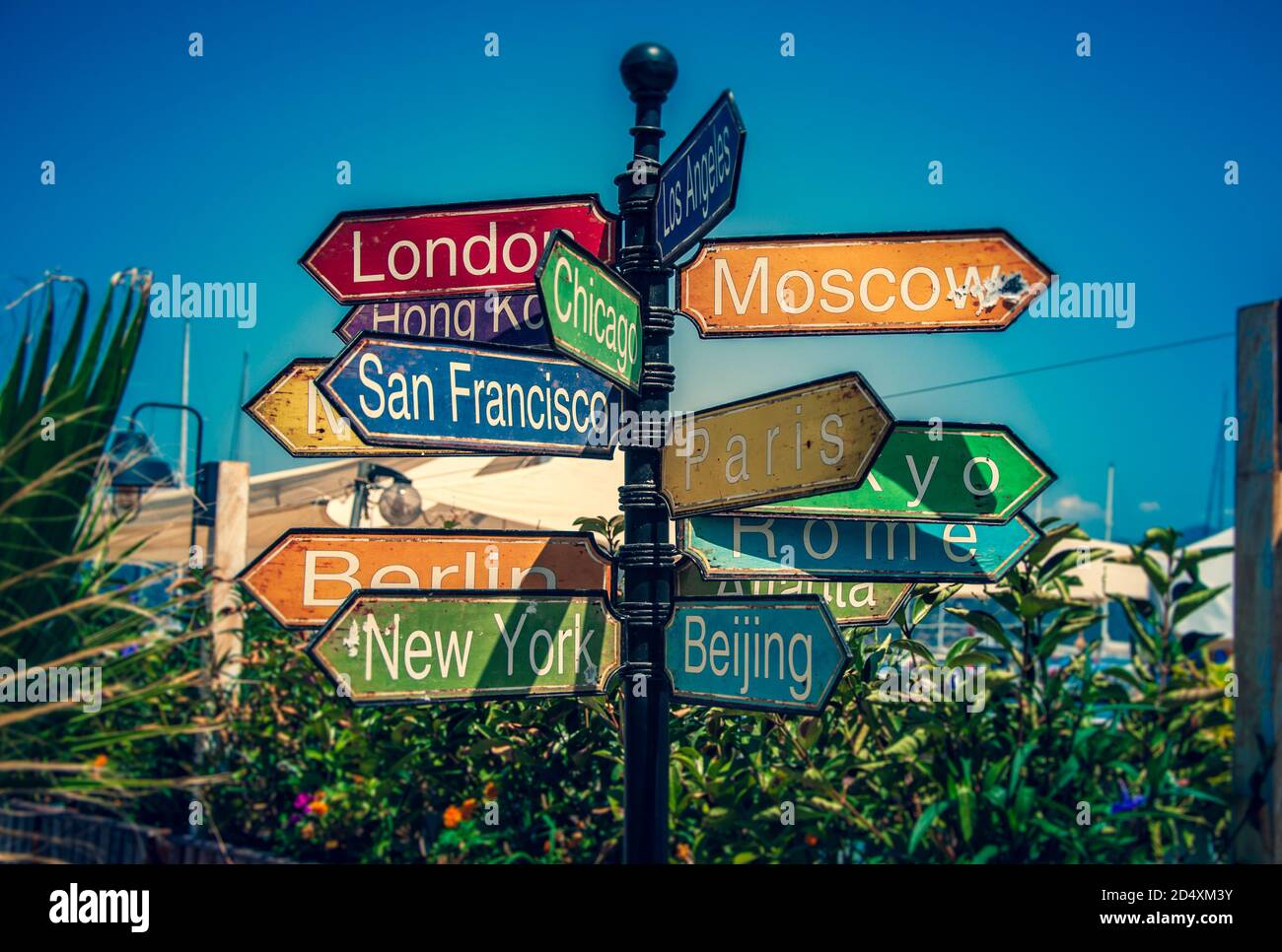 A colourful signpost tree pointing to major cities around the world ...
