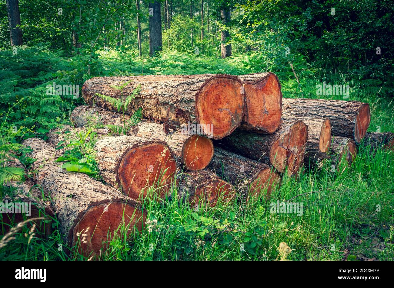Ecologyindustry hires stock photography and images Alamy