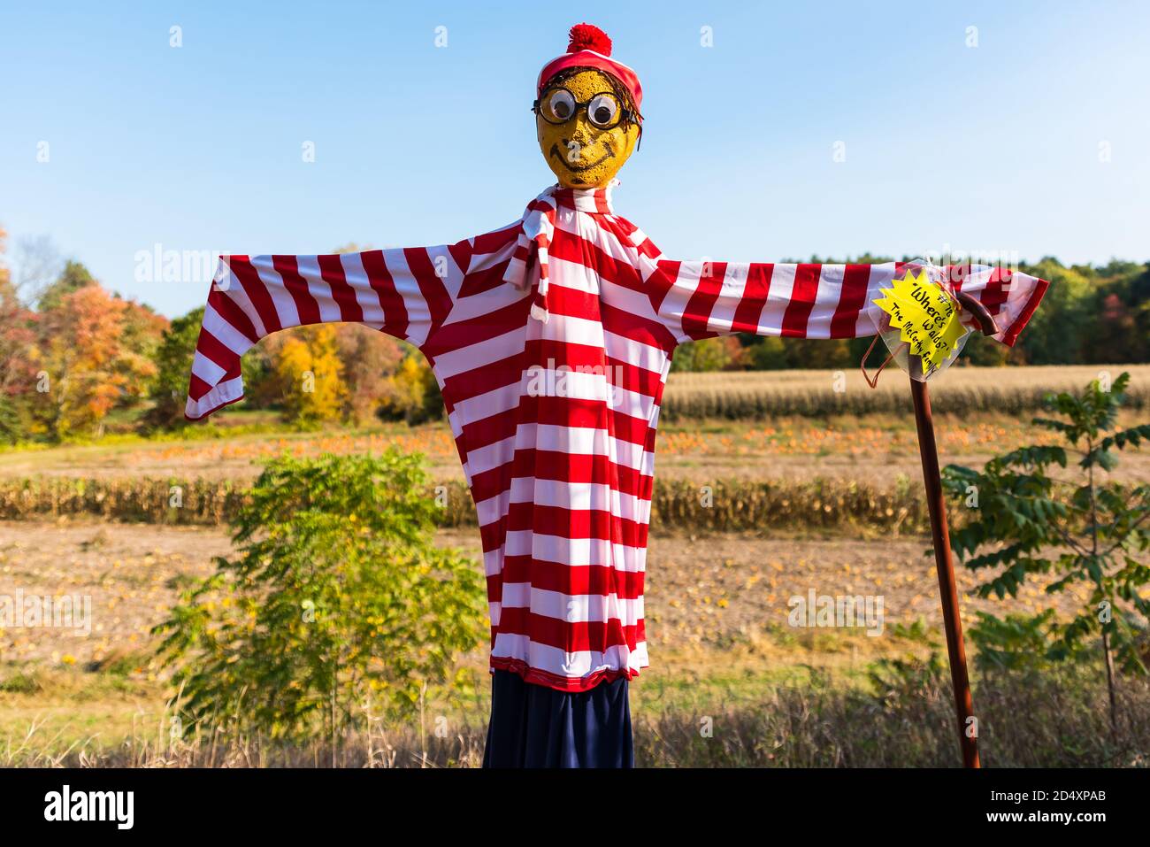 Cucurbit Farm, Acton, Massachusetts. Scarecrow Contest 2020 Stock Photo