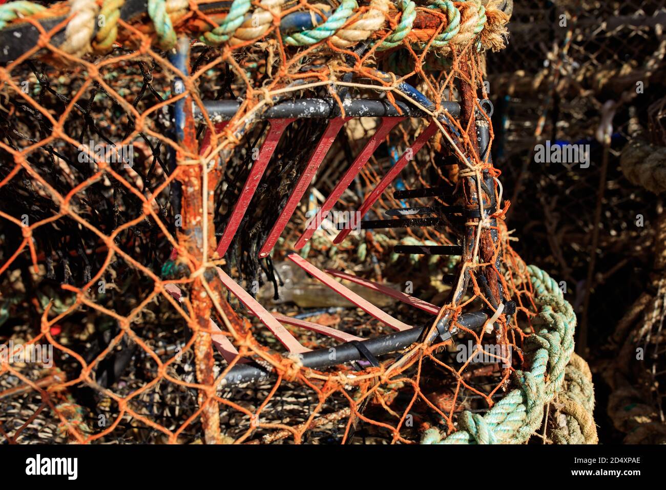 Crab pots stacked on the harbour at Poole Quay, Dorset Stock Photo Alamy