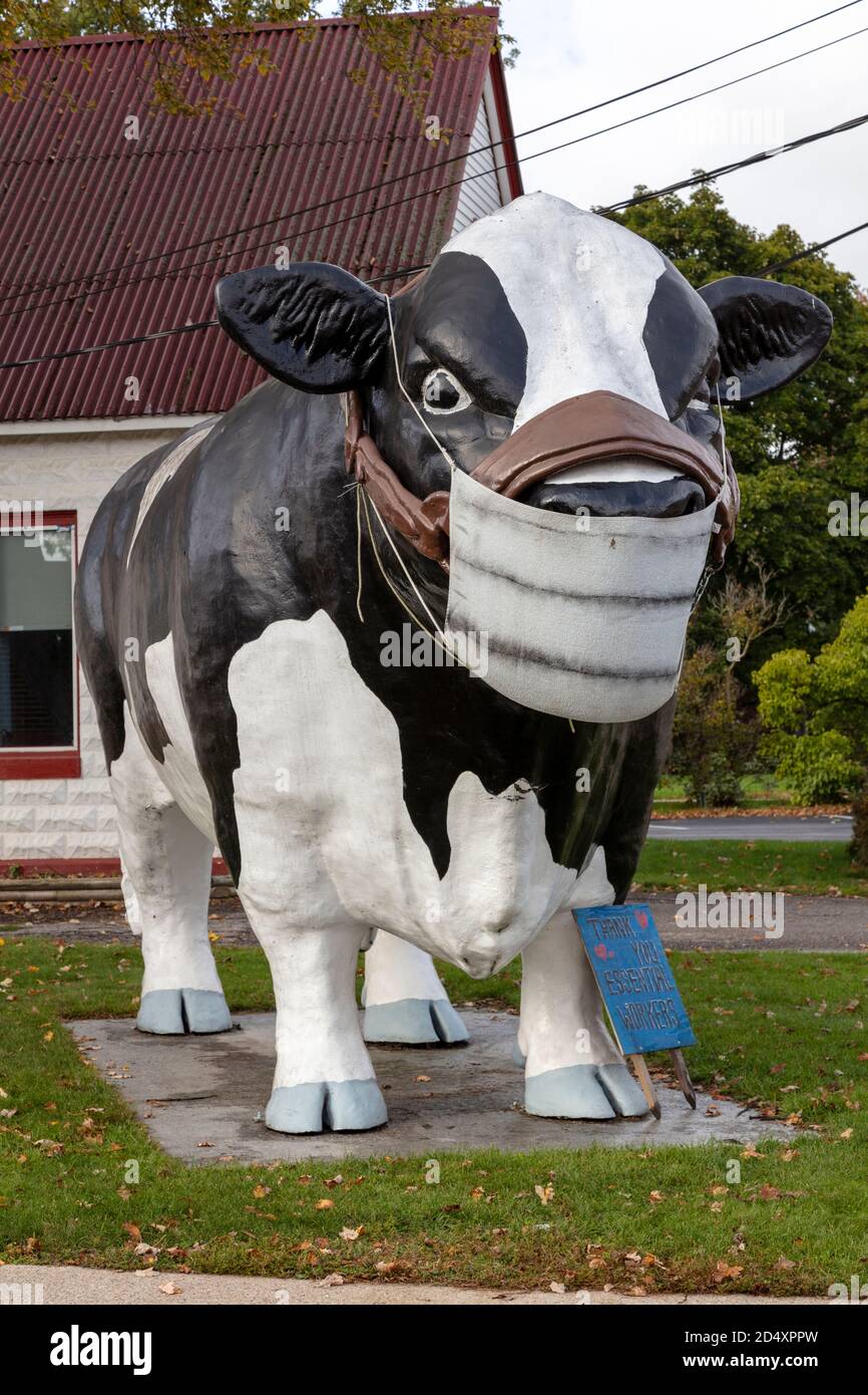 Elsie The Cow