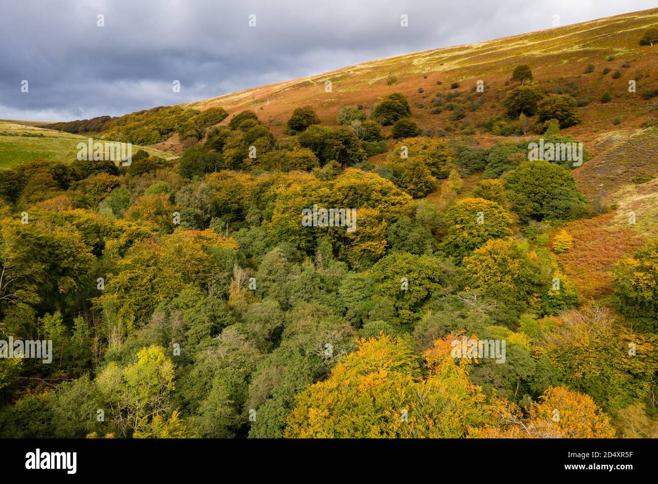 Colorful autumn trees aerial hires stock photography and images Alamy