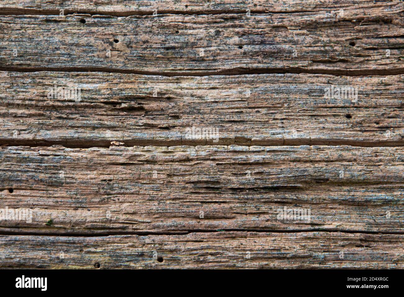 Horizontal vintage wood texture for background Stock Photo
