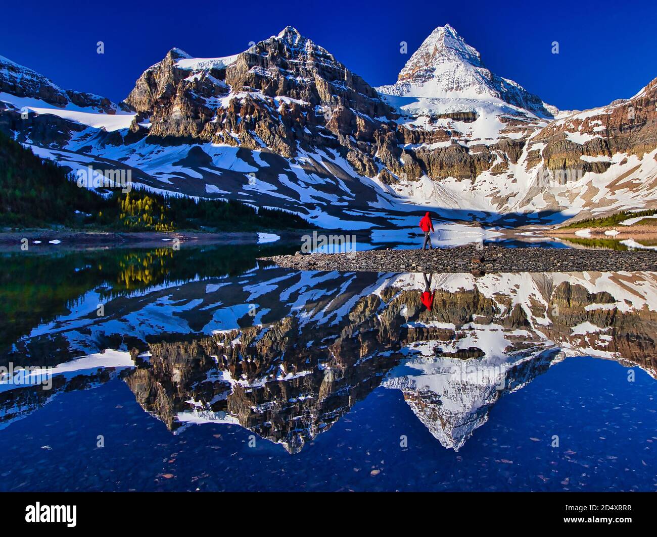 Hiker person walking along the Lake Magog with Mount Assiniboine in the background, British Columbia, Canada Stock Photo