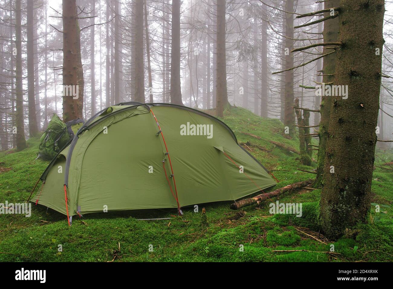 Tent camping in Norwegian wilderness, deep green forest, fog, Bergen, Norway Stock Photo