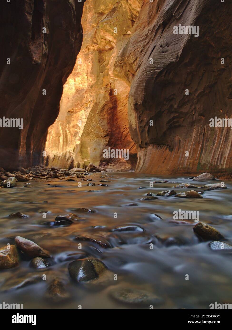 Long exposure shot with flowing river in Zion National Park Narrows, Utah, USA Stock Photo