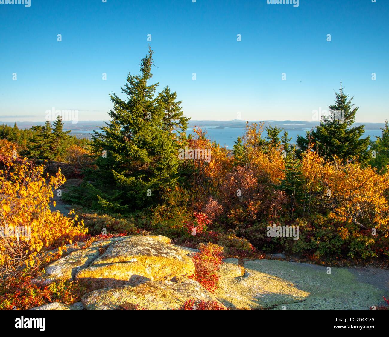 Cadillac Mountain in Acadia National Park Maine during dawn overlooking the ocean. Stock Photo