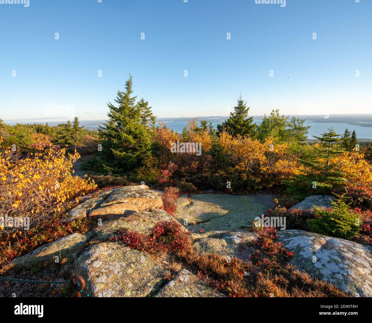 Cadillac Mountain in Acadia National Park Maine during dawn overlooking the ocean. Stock Photo