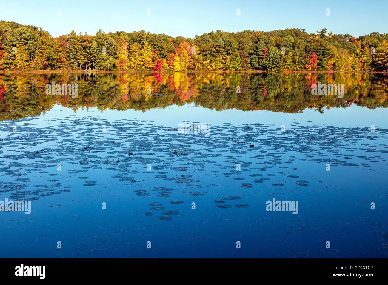 Hall Lake, Autumn, Yankee Springs Recreation Area, MI, USA, by James D