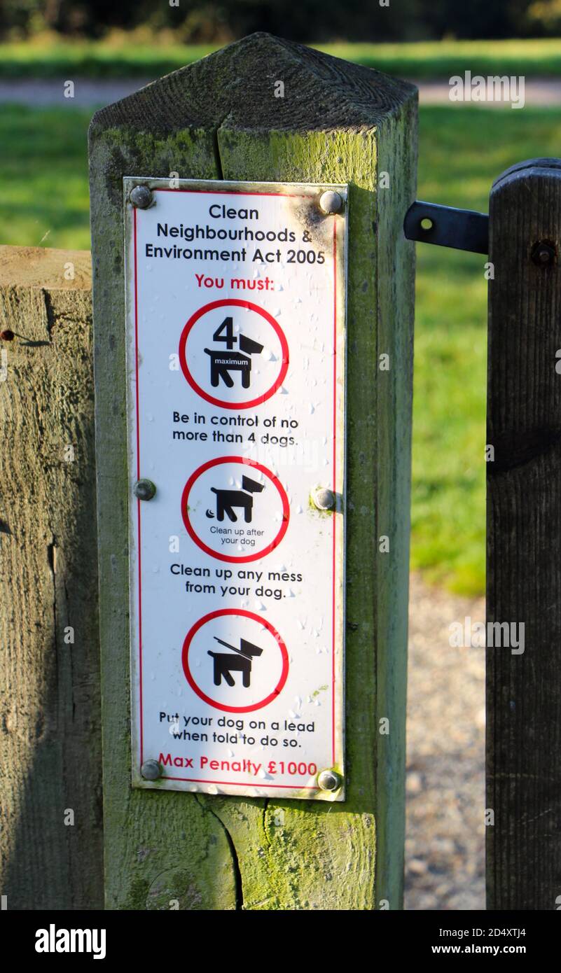 Are Dogs Allowed Off The Lead In Public Places