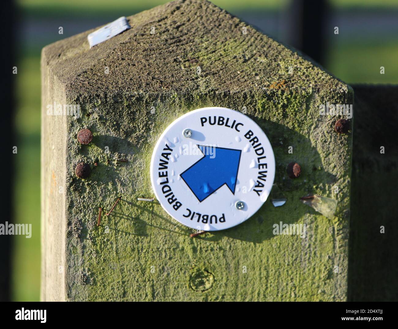 Public Bridleway signs with blue arrows on posts Riddlesdown Surrey