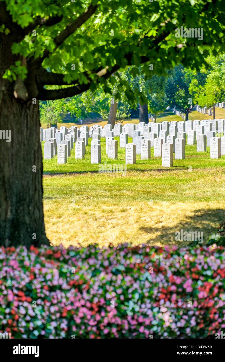 Tombstones and flowers at the Arlington National Cemetery in Virginia