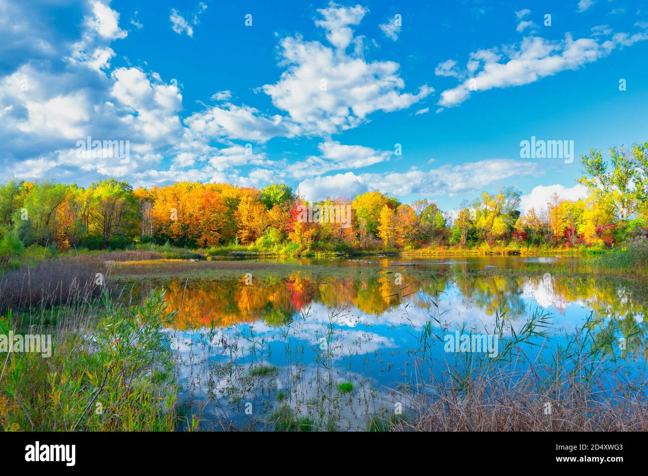 Autumn landscape and reflections in Environmental Reserve in University of Waterloo, Kitchener, Ontario, Canada Stock Photo