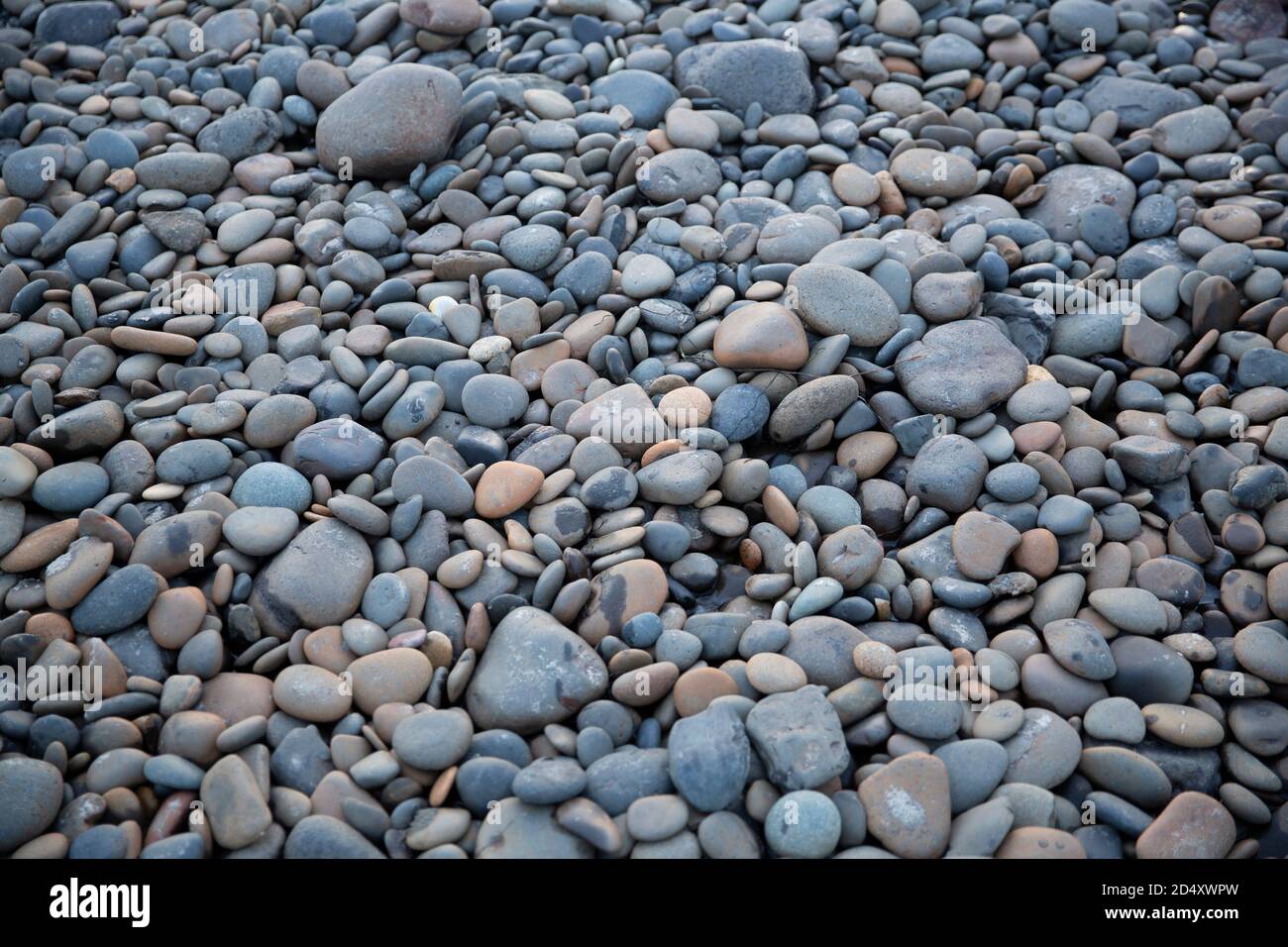 Tan bed hi-res stock photography and images - Alamy