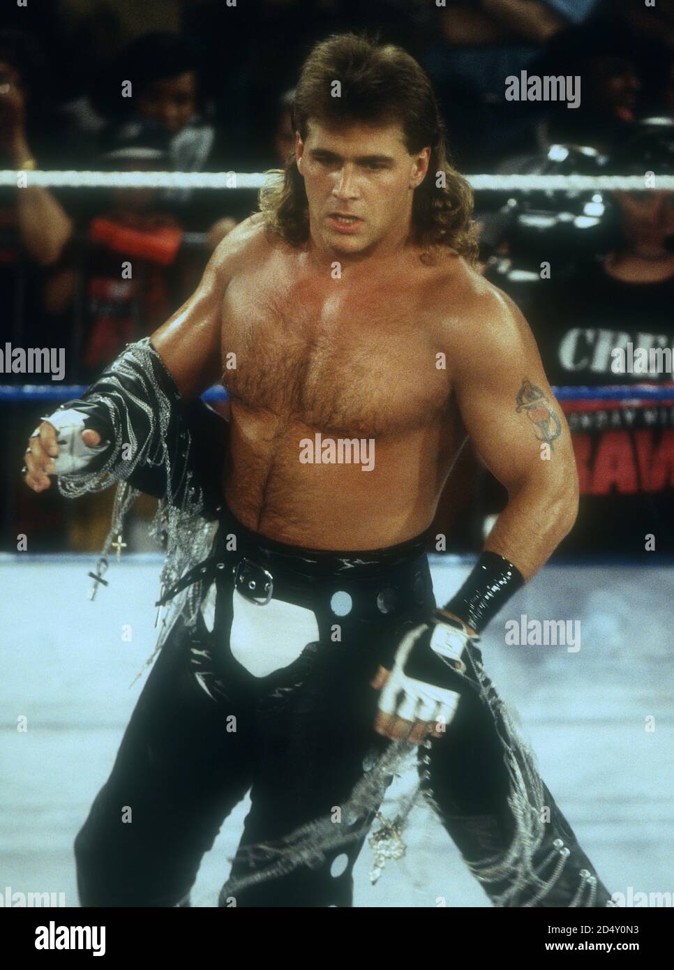 Shawn michaels hires stock photography and images Alamy
