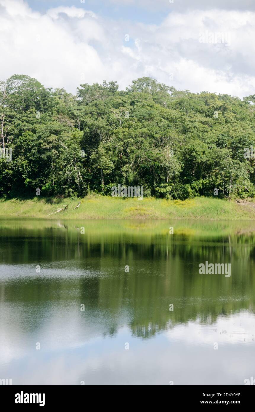 Typical lush landscape of Chagres National Park surrounding the Madden Lake Stock Photo