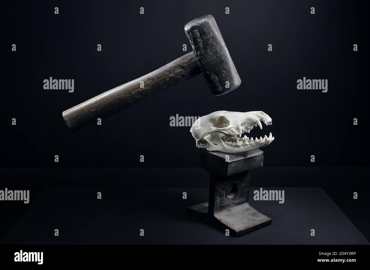 Caught between the hammer and the anvil. Showing the heavy killing impact humans have on nature. Stock Photo