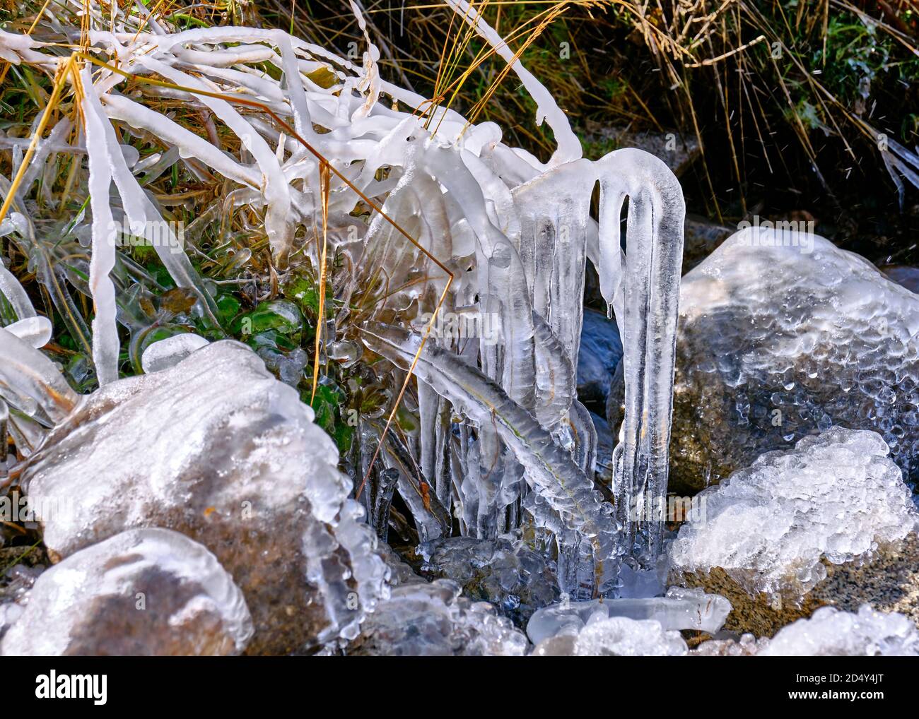 Autumn grass covered with shiny beautiful ice in close proximity to the river; first autumn frosts and approaching winter concept Stock Photo