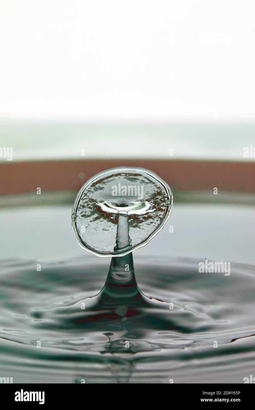 Abstract background of splash of color water, collision of colored ...