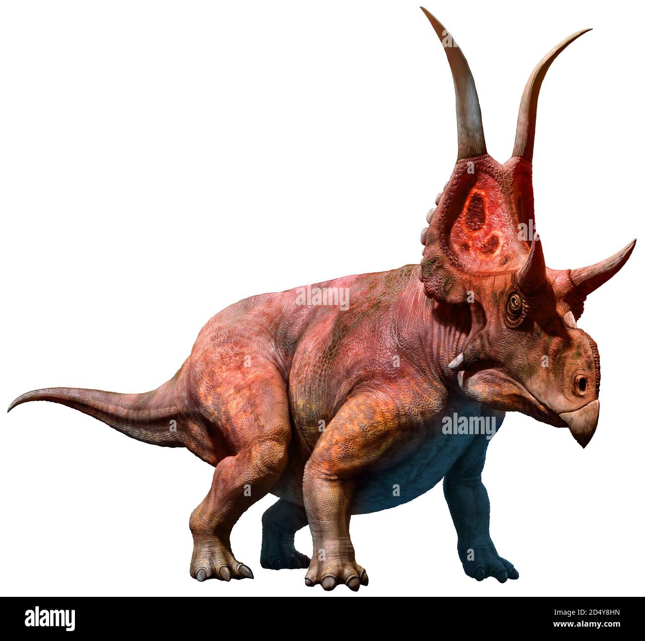 Dinosaure : 340 890 images, photos de stock, objets 3D et images