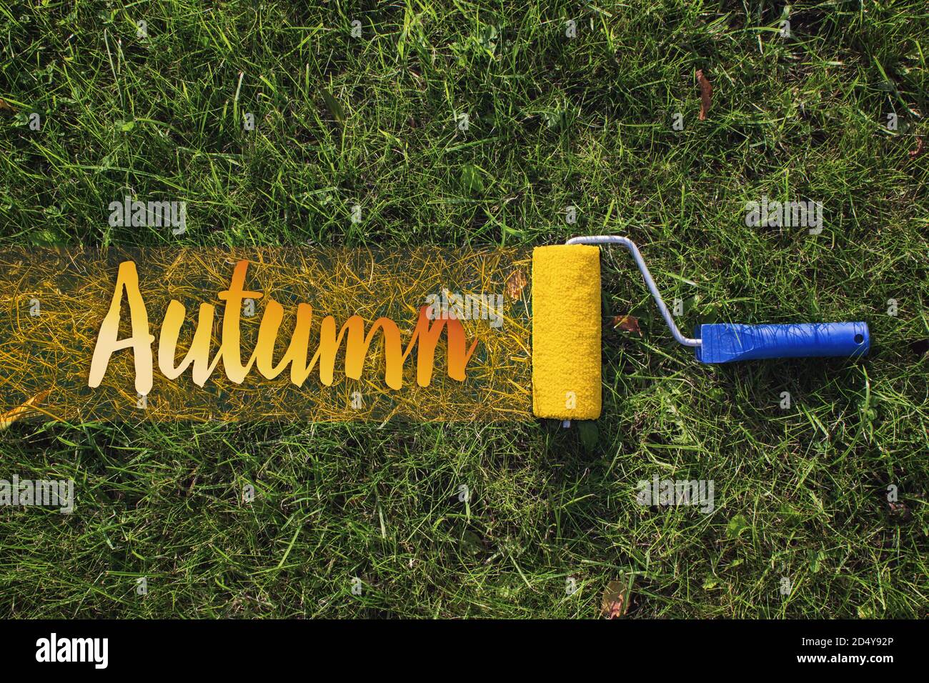 Top view of a paint roller painting a grassy strip using orange color with text Autumn Stock Photo