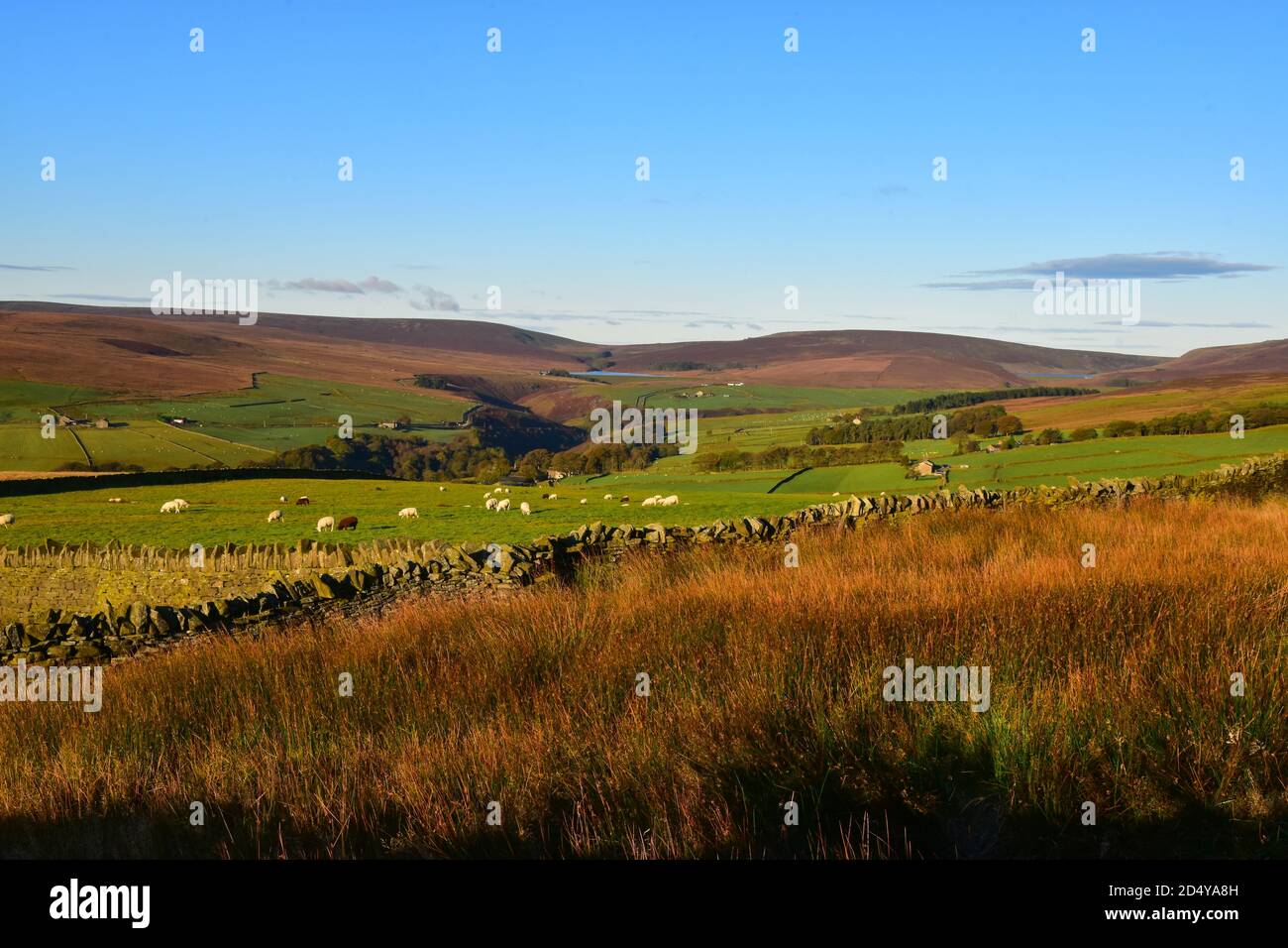 Above Hardcastle Crags, looking to Widdop, Pennines, Yorkshire Stock Photo