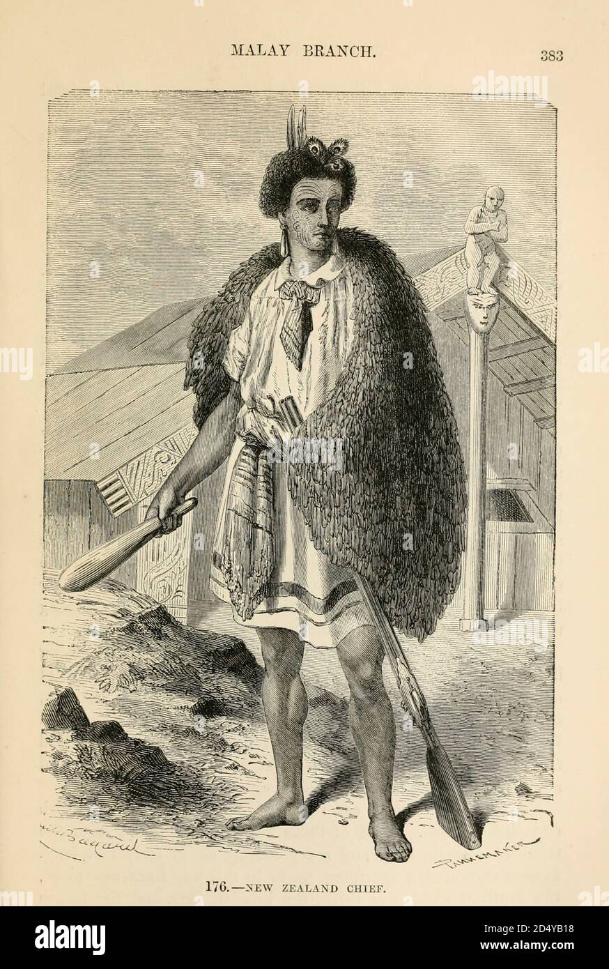 New Zealand Chief [Maori] with club engraving on wood From The human race by Figuier, Louis, (1819-1894) Publication in 1872 Publisher: New York, Appleton Stock Photo