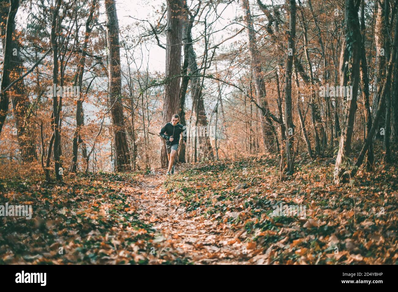 The concept of sports and cross-country running. A man in sports clothes runs along forest paths. The trunks of the trees in the background. Copy spac Stock Photo