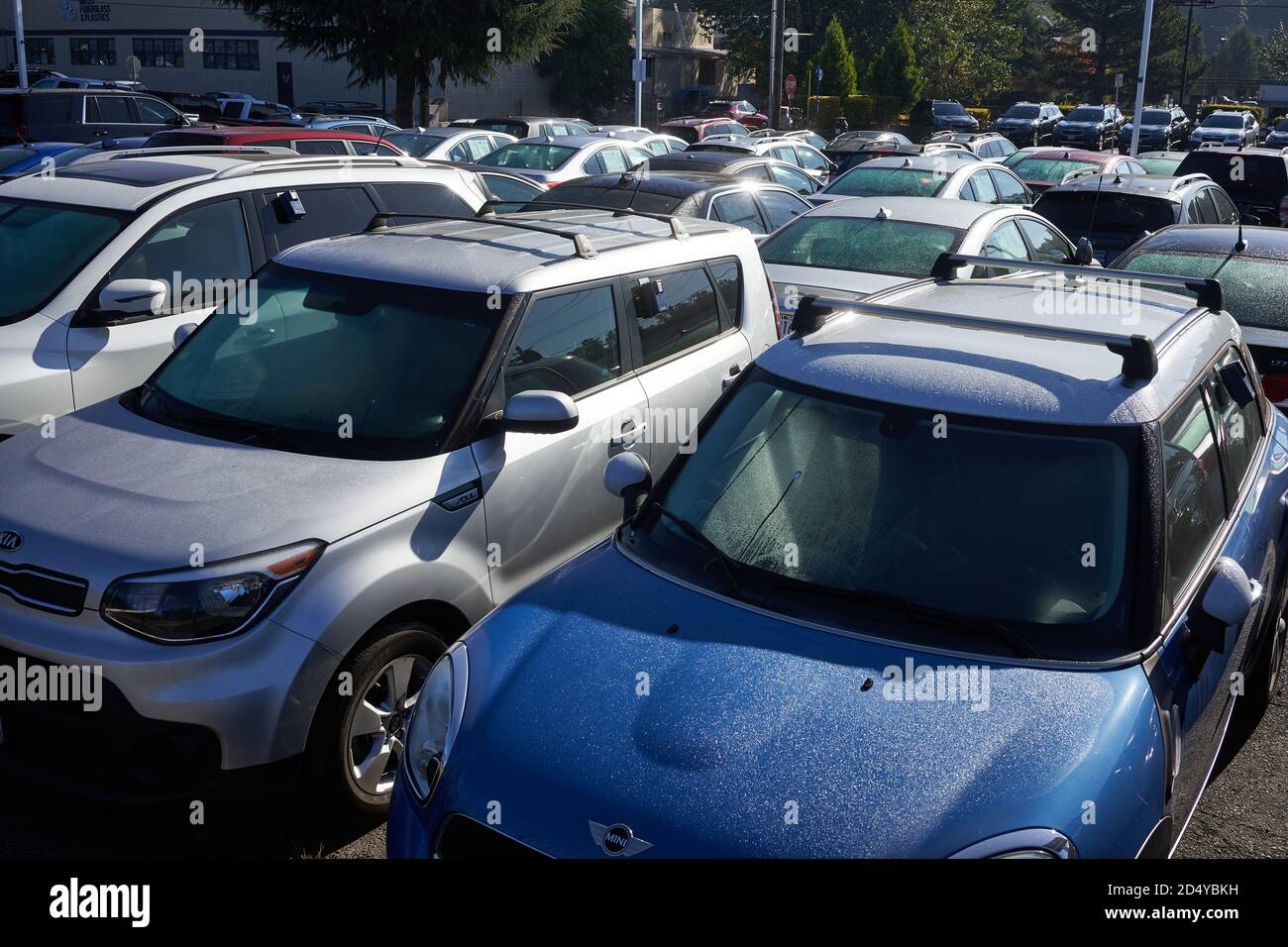 Used cars for sale in a car dealership in Oregon City. Stock Photo