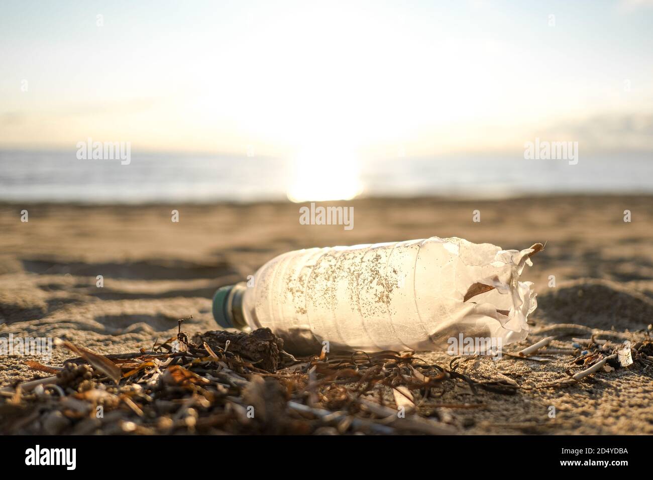 Plastic bottle trash discarded on sea coast ecosystem,environmental pollution issues Stock Photo