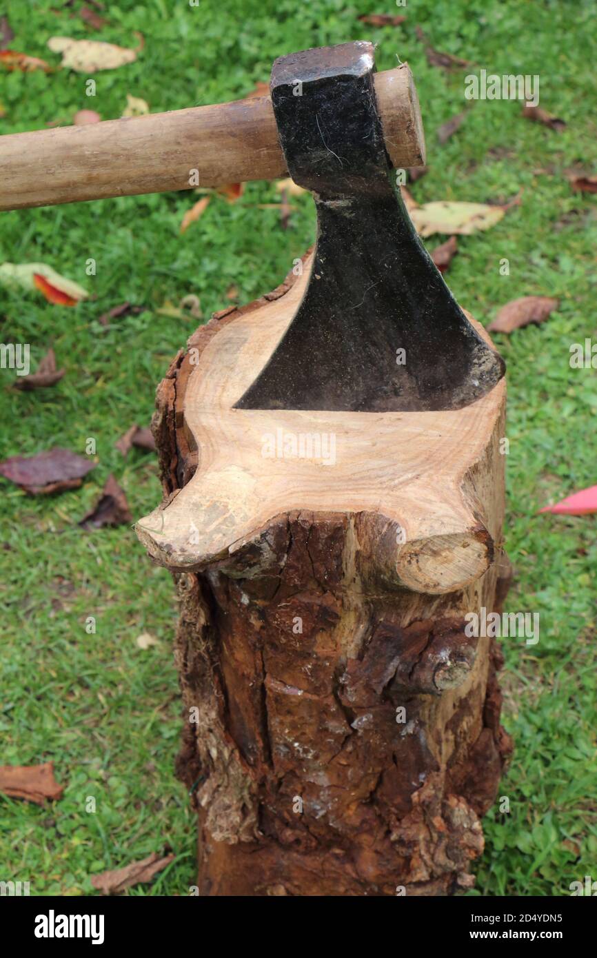Axe in a log in a garden Stock Photo