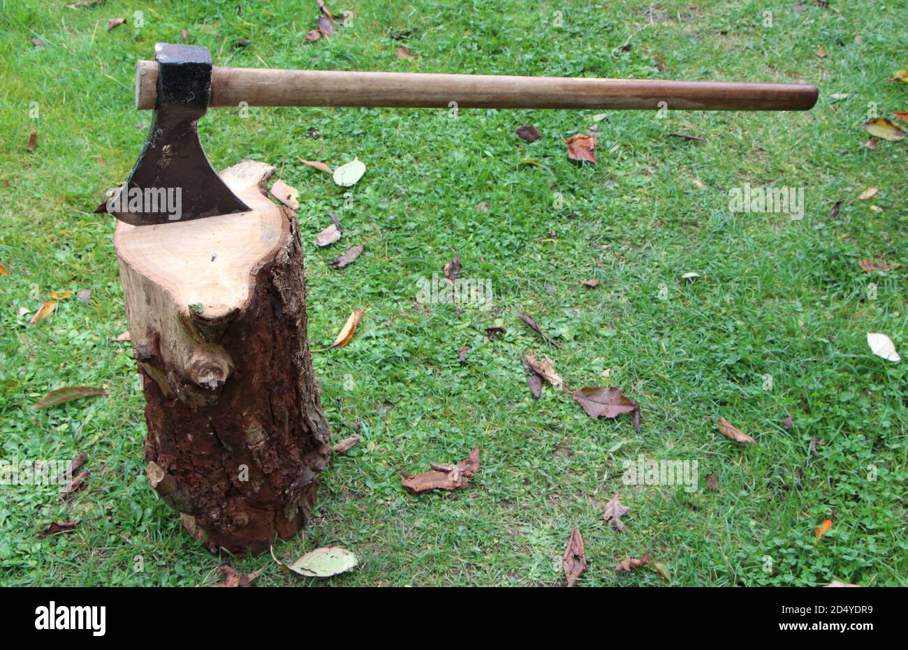Axe in a log in a garden Stock Photo