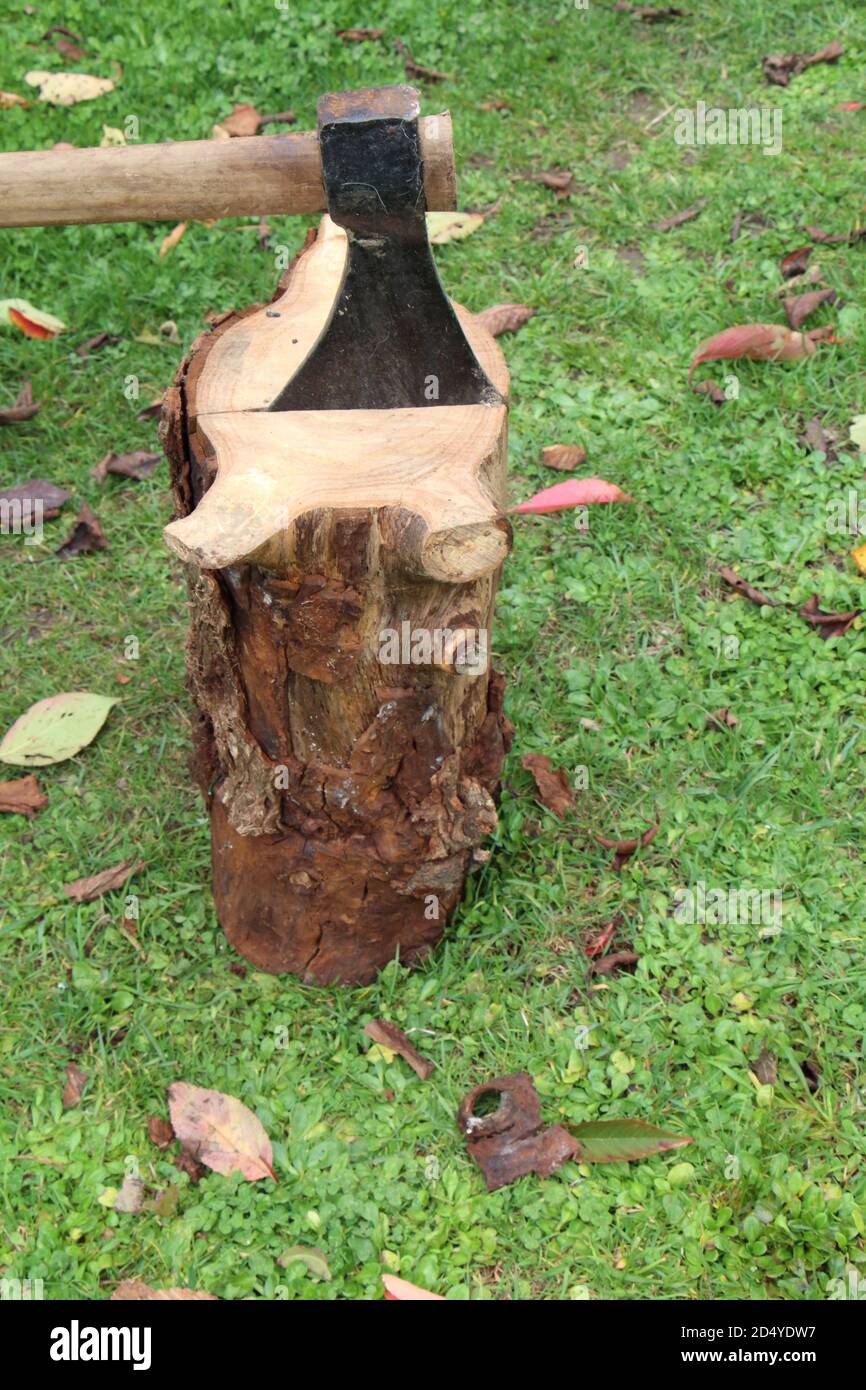 Axe in a log in a garden Stock Photo