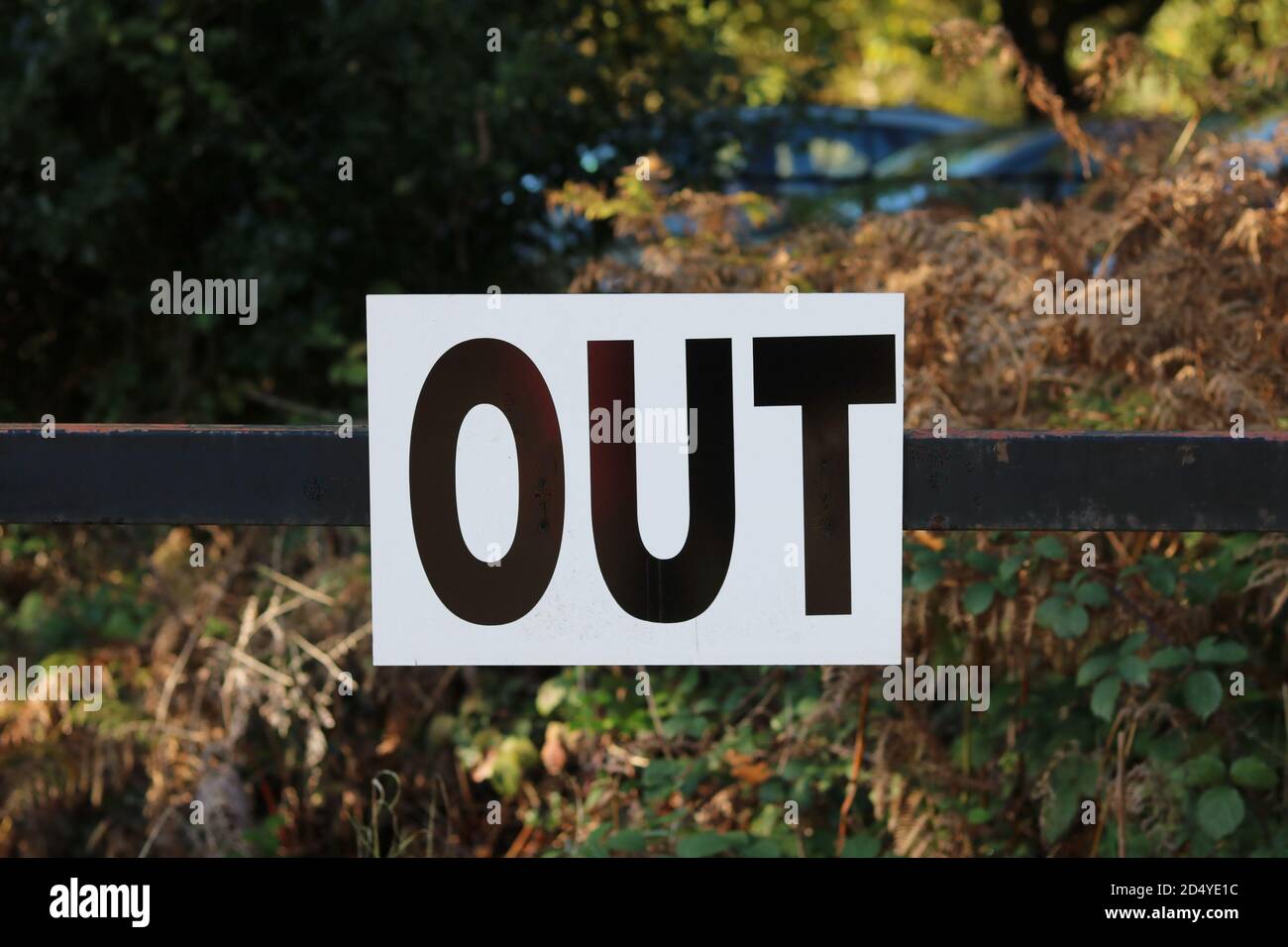 Sign indicating the word Out in black on white background with autumn background Stock Photo