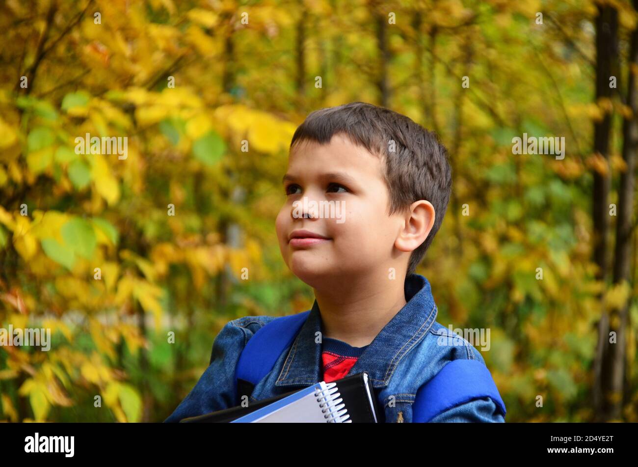 A boy after school hours walks in the autumn park in a denim jacket, with textbooks and notepads, notebooks in his hands in the park among the trees Stock Photo